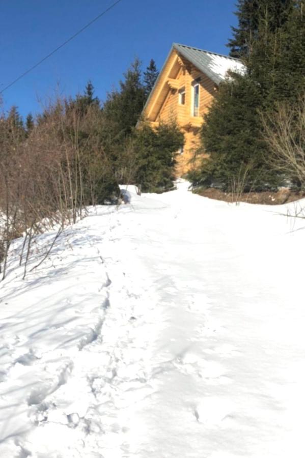 Alpenchalet Grabner Alm Am Praebichl Almhauser Εξωτερικό φωτογραφία