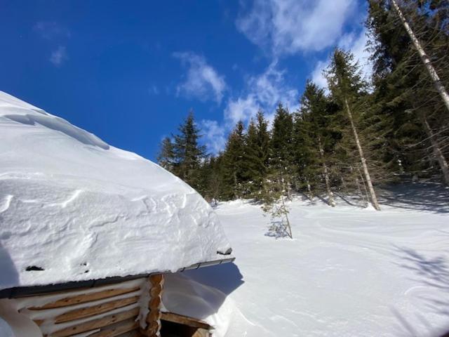 Alpenchalet Grabner Alm Am Praebichl Almhauser Εξωτερικό φωτογραφία